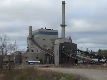 ns power biomass