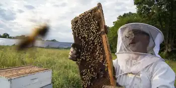 bee keeper