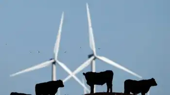 renewable wind power