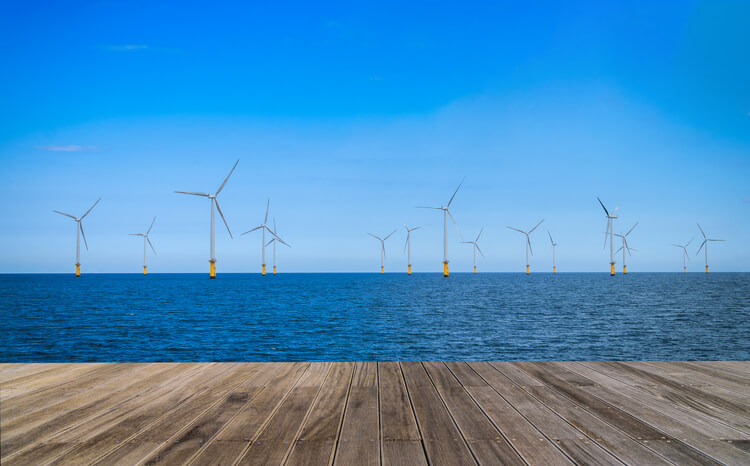 Netherlands Grid Crisis